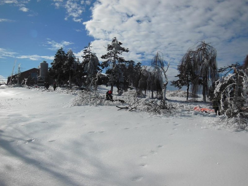 DSCN2130.JPG